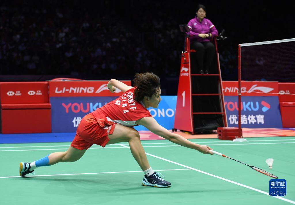 他们晋级的 他们晋级的